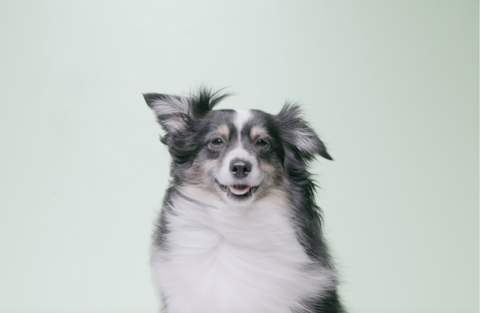 Ruff Greens Image